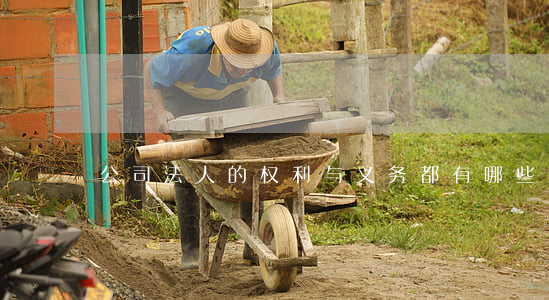 公司法人的权利与义务都有哪些