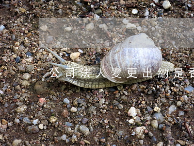 公司法人變更出納是否也要變更