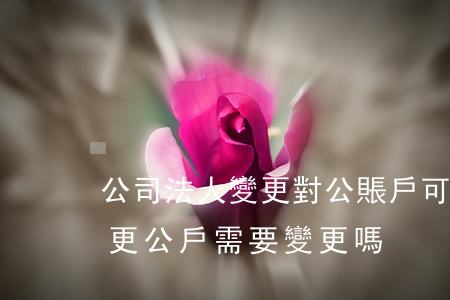 公司法人變更對公賬戶可以變嗎(公司法人變更公戶需要變更嗎)