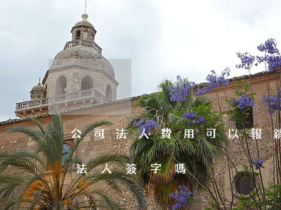 公司法人費用可以報銷嗎(費用報銷單一定要法人簽字嗎)