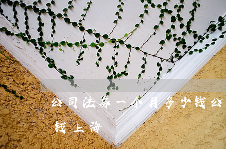 公司法务一个月多少钱(公司法务一个月多少钱上海)