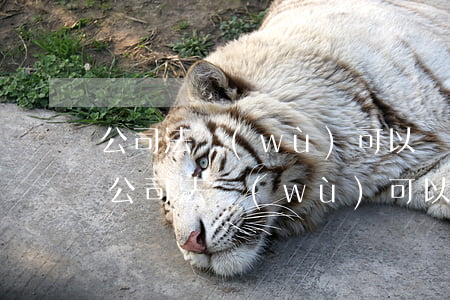 公司法務(wù)可以發(fā)律師函嗎(公司法務(wù)可以申請(qǐng)律師證嗎)