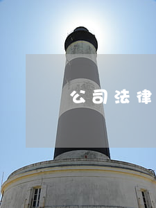 公司法律顧問的作用及服務(wù)范圍