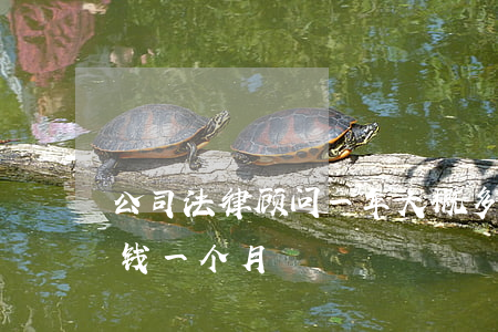 公司法律顾问一年大概多少钱(法律顾问多少钱一个月)