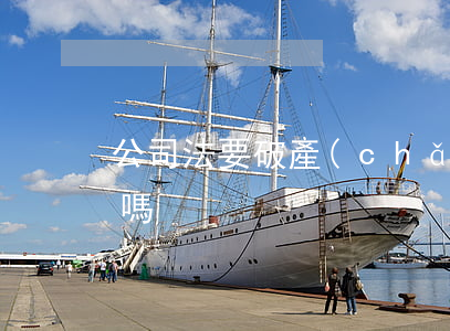 公司法要破產(chǎn)前私自還款可以嗎