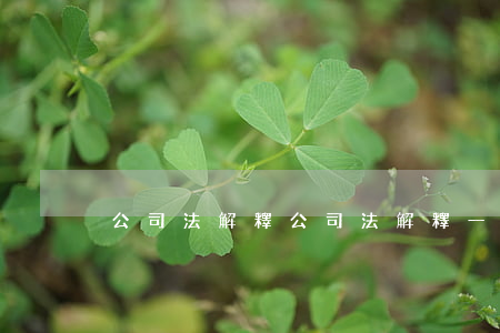 公司法解釋(公司法解釋一二三四五)