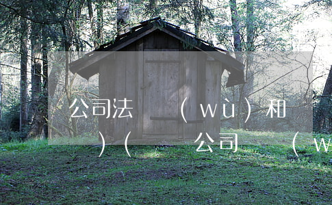 公司法財務(wù)和會計法律法規(guī)(請問公司財務(wù)會計涉及到的法律法規(guī)有哪些)