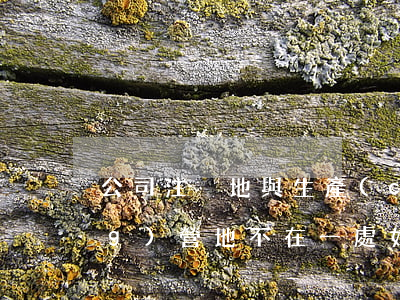 公司注冊地與生產(chǎn)經(jīng)營地不在一處，如何進行工傷認定？