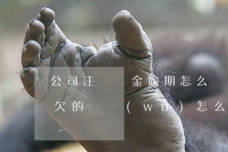 公司注冊資金逾期怎么辦(公司注冊資金小于欠的債務(wù)怎么辦)