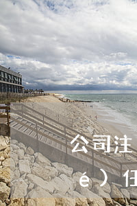 公司注冊需要的條件有哪些（一人有限責(zé)任公司）
