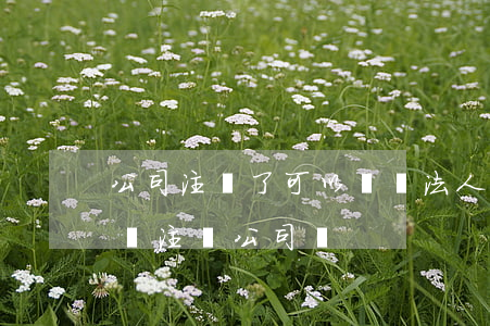 公司注銷了可以訴訟法人個人嗎(法人可以申請注銷公司嗎)