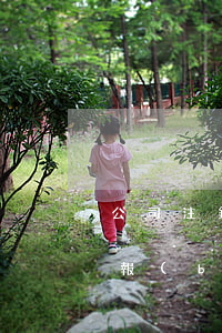 公司注銷清算報(bào)告(公司注銷清算報(bào)告模板)