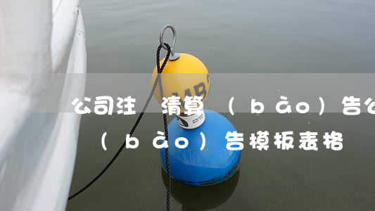 公司注銷清算報(bào)告(公司注銷清算報(bào)告模板表格)