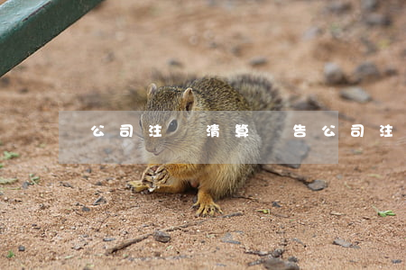 公司注銷清算報告(公司注銷清算報告模板)