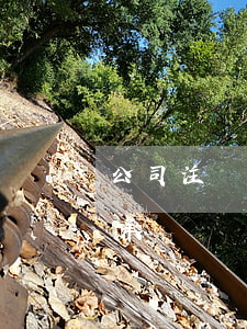 公司注銷股東怎么繼承(公司注銷股東怎么繼承)