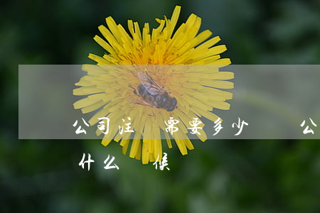 公司注銷需要多少時間（公司注銷登報時間是什么時候）