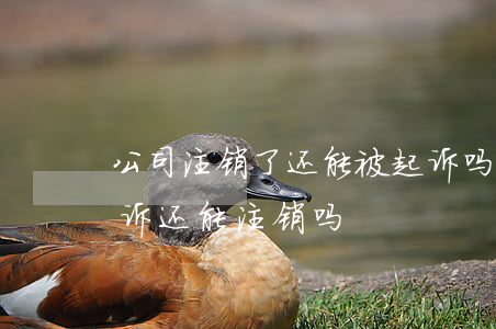 公司注销了还能被起诉吗(公司注销期间被起诉还能注销吗)