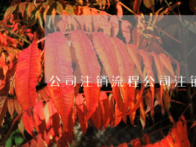 公司注销流程(公司注销流程及需要的材料)