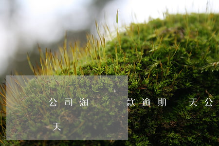 公司淘寶貸款逾期一天(公司淘寶貸款逾期一天)