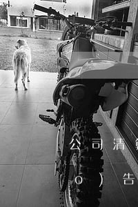 公司清算報(bào)告(公司清算報(bào)告由誰出?)