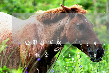公司清算期間個(gè)人股權(quán)能否轉(zhuǎn)讓