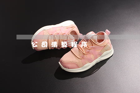 公司清算程序