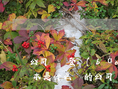 公司減資登報(bào)內(nèi)容范本是什么樣的（公司減資的法定程序）