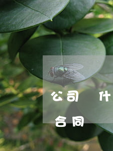 公司為什么簽三年合同(公司第三次簽了一年合同)