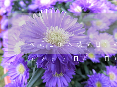 公司為他人提供擔(dān)保之有權(quán)機(jī)構(gòu)決議法律要點(diǎn)分析