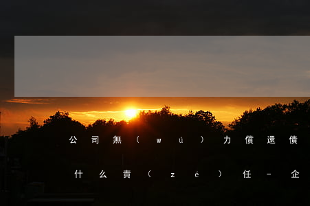 公司無(wú)力償還債務(wù)法人有什么責(zé)任-企業(yè)失信法人限高多久解除