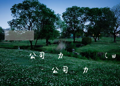 公司無力償還債務(wù)怎么辦那錢怎么辦-公司無力償還債務(wù)怎么辦那錢怎么辦呢