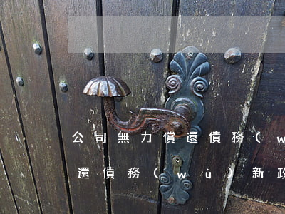 公司無力償還債務(wù)案例 公司無力償還債務(wù)新政策
