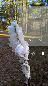 公司無力償還債務有什么方法處理-公司無力償還債務有什么方法處理呢