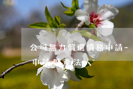 公司無力償還債務申請-公司無力償還債務申請破產法人