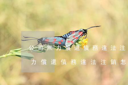 公司無力償還債務違法注銷怎么辦-公司無力償還債務違法注銷怎么辦理