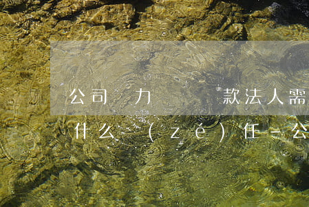 公司無力償還貸款法人需要承擔(dān)什么責(zé)任-公司無力償還貸款法人需要承擔(dān)什么責(zé)任呢
