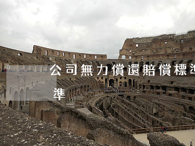 公司無力償還賠償標準（公司無力償還賠償標準）