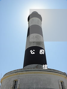 公司營業(yè)執(zhí)照到了會自動注銷嗎（辦理營業(yè)執(zhí)照所需材料）