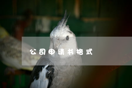 公司申请书格式