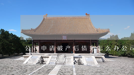 公司申请破产后债务怎么办(公司申请破产后债务怎么办,父母)