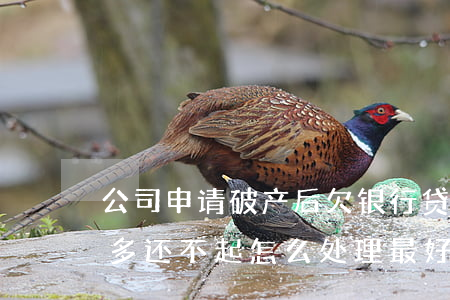 公司申请破产后欠银行贷款怎么办-负债太多还不起怎么处理最好
