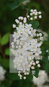 公司登記事項(xiàng)發(fā)生變更逾期不登記-公司登記事項(xiàng)發(fā)生變更逾期不登記怎么辦