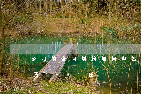 公司的合同糾紛如何舉證(主張合同成立舉證責(zé)任)