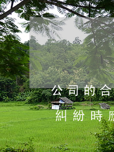 公司的合同糾紛如何處理(合同發(fā)生糾紛時應(yīng)該怎么處理)