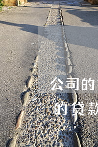公司的贷款无力偿还股东用不用承担-公司的贷款无力偿还股东用不用承担责任