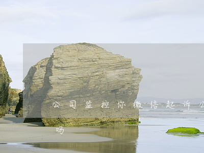 公司监控你微信起诉(公司监控个人微信违法吗)