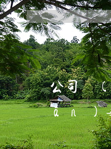 公司監(jiān)事信用卡逾期 監(jiān)事欠銀行錢(qián)會(huì)影響公司