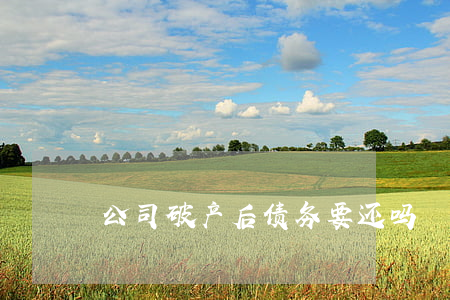 公司破产后债务要还吗