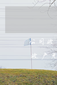 公司破产无力偿还债务,法人会坐牢吗-公司破产无力偿还债务法人会坐牢吗