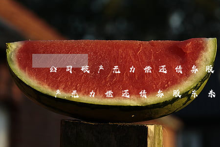 公司破产无力偿还债务股东未出资-公司破产无力偿还债务股东未出资怎么办